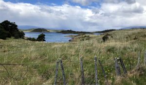 Gable Island Patagonia