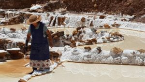Salt gathering Maras Peru By Cheryl Gale